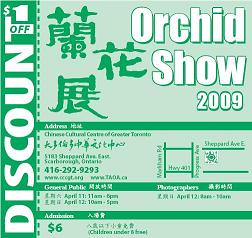 多伦多兰艺会兰花展览